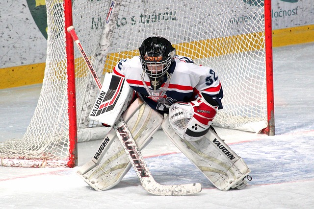 裁判的哨声 裁判的哨声